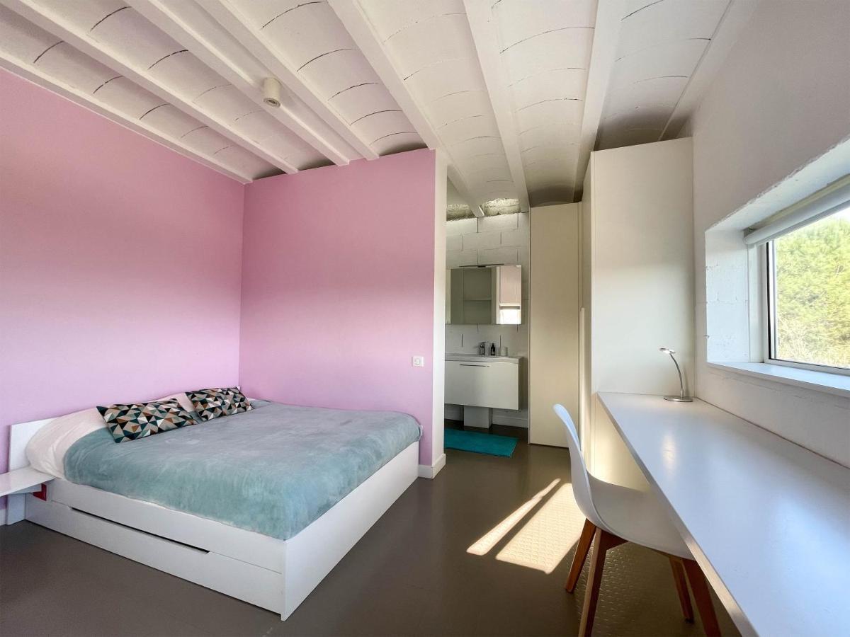 Villa Des Cathares Καρκασόν Εξωτερικό φωτογραφία