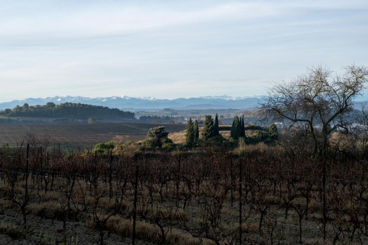 Villa Des Cathares Καρκασόν Εξωτερικό φωτογραφία